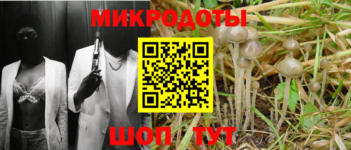 Псилоцибиновые грибы Magic Shrooms  Вход с VPN  Похвистнево 