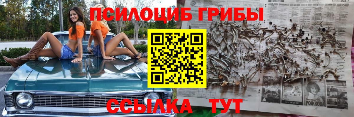 Галлюциногенные грибы мухоморы Похвистнево