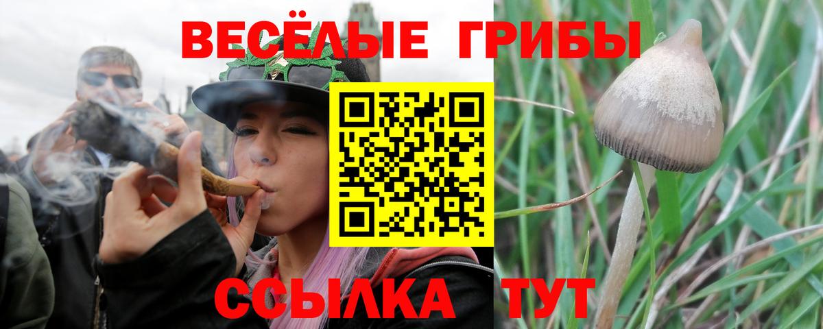 Меф кристаллы  Канабис  НБОМе  Похвистнево  Вход с VPN  Гашиш  LSD-25 